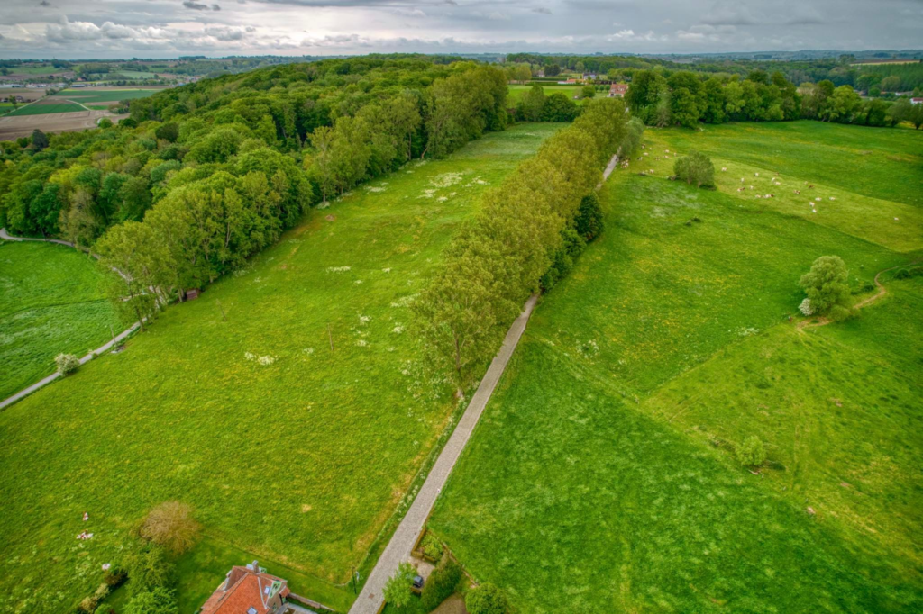Koning(in) van de Koppenberg