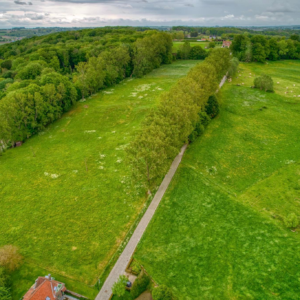 Koning(in) van de Koppenberg